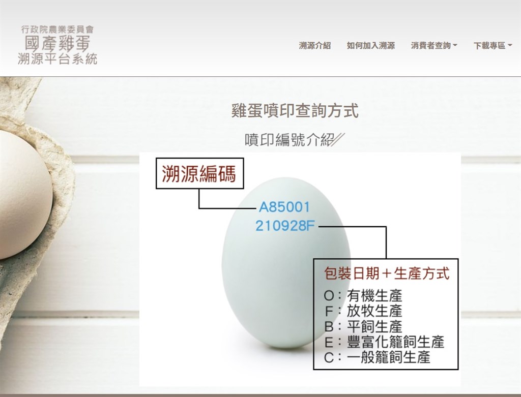 A screenshot of the website