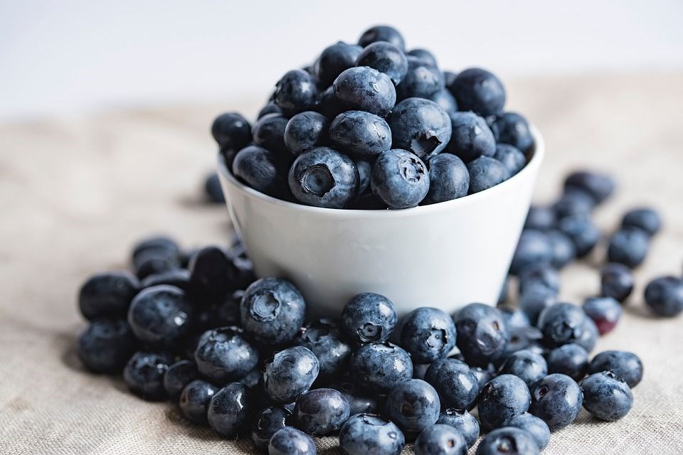 An image of bilberries for illustrative purpose only. Source: Pixabay