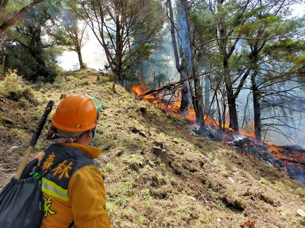 Ex-NCC official impeached for lying about role in forest fire - Vimarsana News
