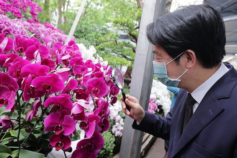 Taiwan International Orchid Show Returns After Two Year Hiatus Focus Taiwan