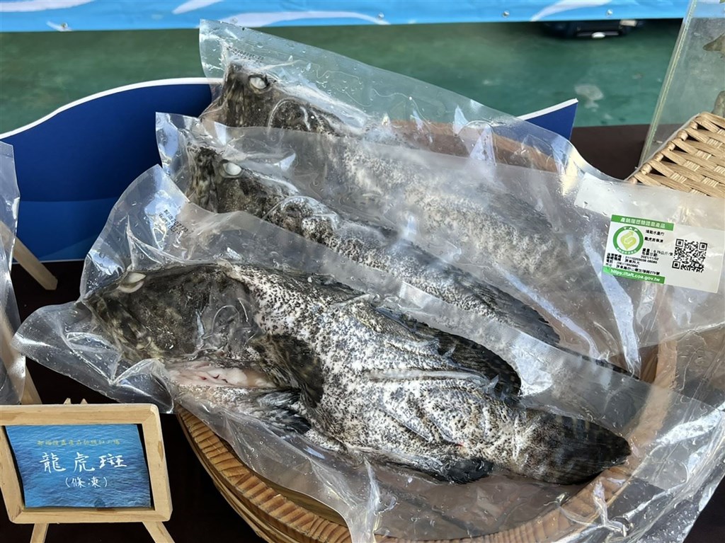 MAC calls for talks after China announces Taiwan grouper ban - Focus Taiwan