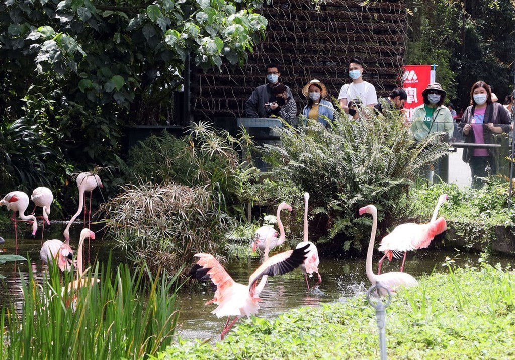 The Taipei Zoo. CNA file photo