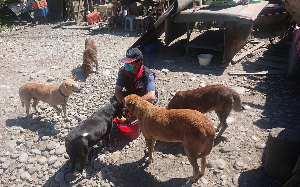 Hualien government helping to protect 50 dogs after beloved rescuer's death - Vimarsana News