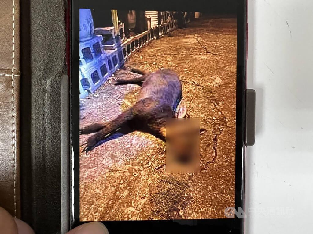 A police photo of the dead animal is seen on a mobile device of an official.