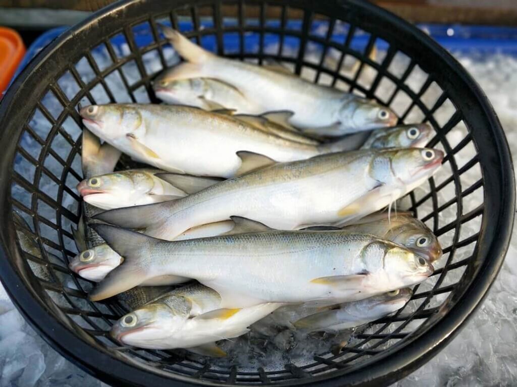 Taiwan protests China's suspension of local seafood imports - Vimarsana News