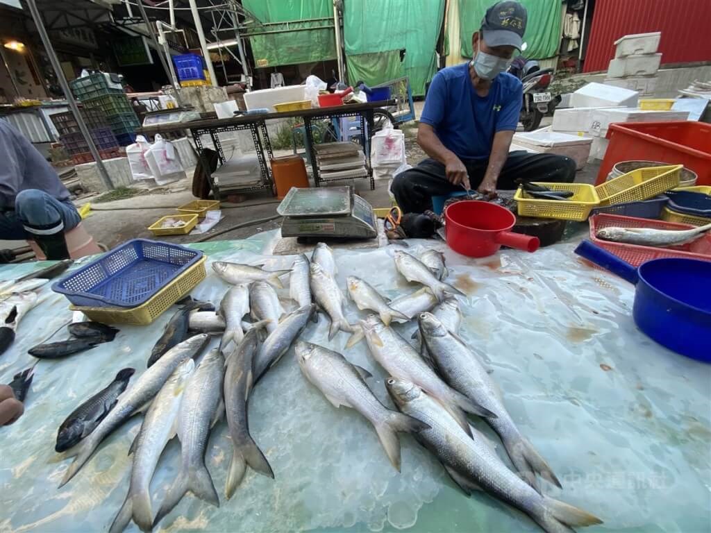A seafood market worker cleans fourfinger threadfins and other fish at a market in Kaohsiung. CNA file photo
