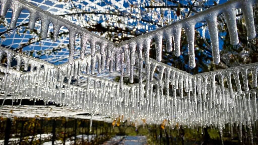 A closeup of icicles formed on a wisteria trellis net on Thursday in Wuling Farm. Photo taken from Wuling Farm