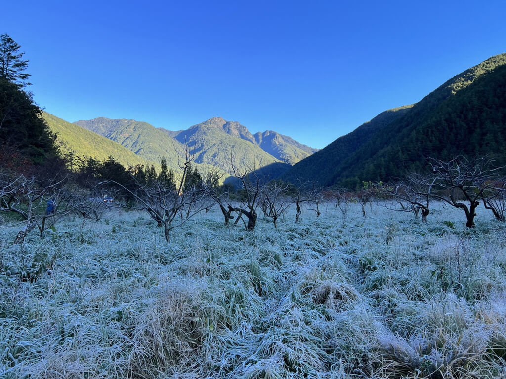 Plants and trees on Wuling Farm are seen coated with snow on Monday morning. Photo courtesy of Wuling Farm Dec. 19, 2022