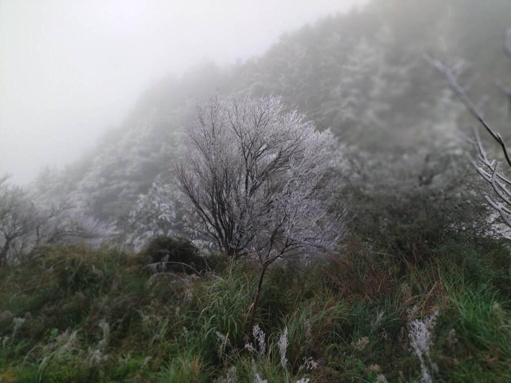 Trees at Wuling Farm are seen with a bit of frost on Sunday. As temperatures on Sunday almost hit 0 degrees Celsius, most of the farm was covered by a layer of snow. Photo courtesy of Wuling Farm Dec. 18, 2022