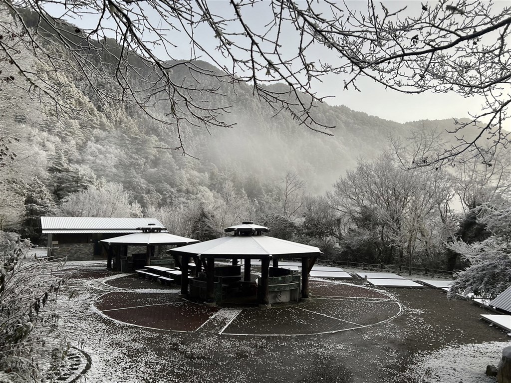Photo courtesy of Taitung Forest District Office