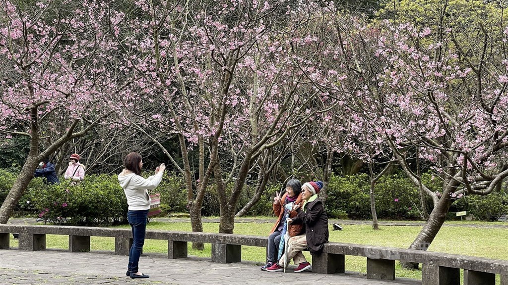 Taiwan reports 19,861 new COVID-19 cases, 65 deaths - Vimarsana News