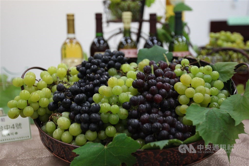 Trans-resveratrol is commonly found in grapes and red wine. CNA file photo