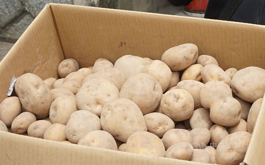 Potatoes grown by a farmer in Kinmen County are seen in this CNA file photo used for illustrative purpose only.