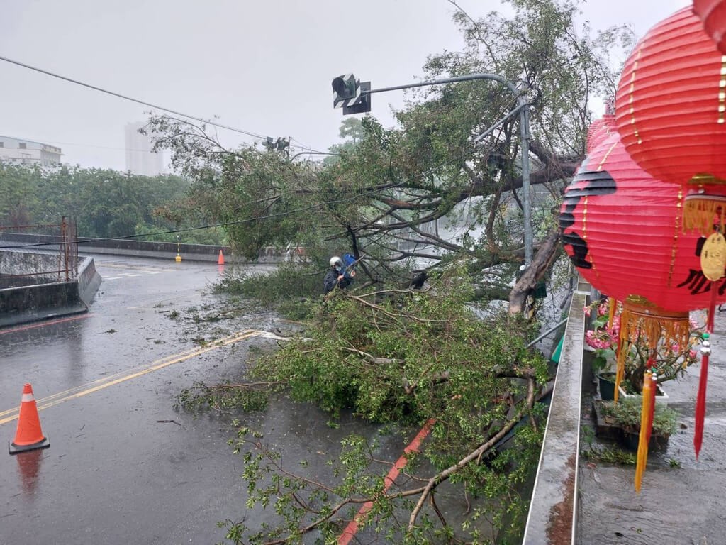 A tree falls onto the road in Taichung
