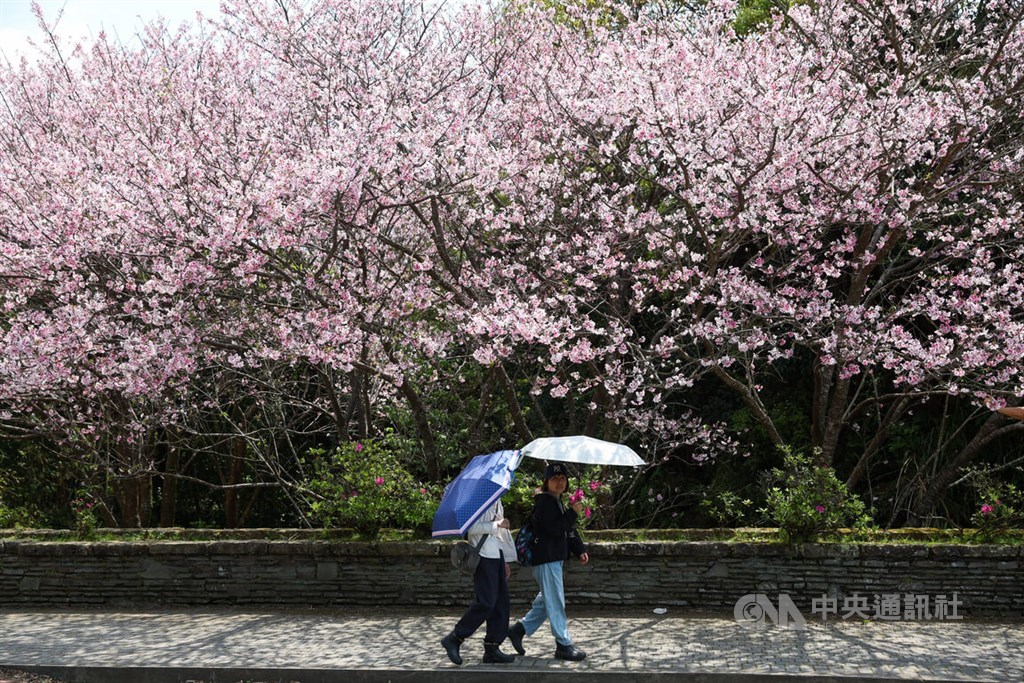 Fair weather in Taiwan through Monday, rain later next week