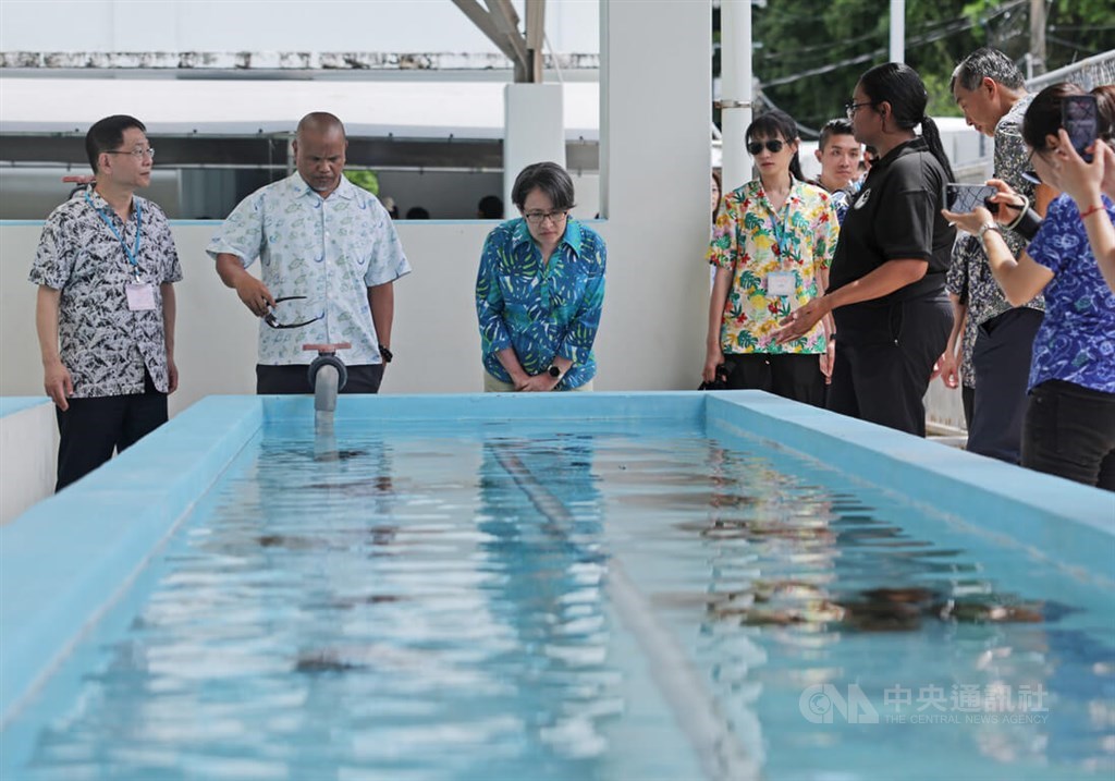 Hsiao inspects Taiwan-aided fisheries, tourism projects in Palau