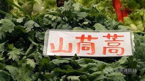 Eating dark green vegetables linked to lower myopia risk in children: Survey