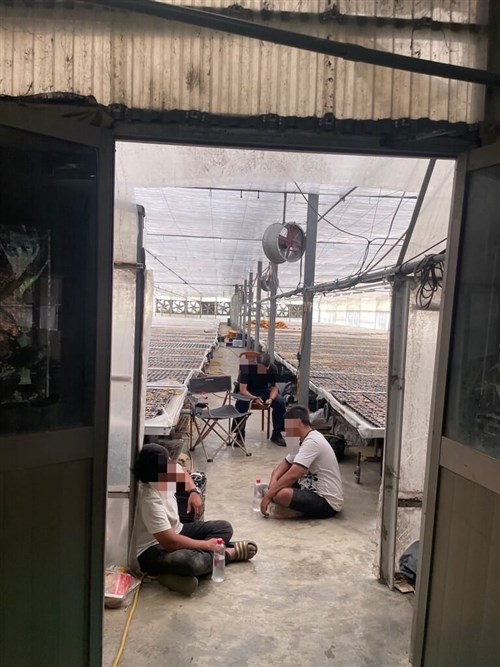 7 indicted after captives freed during raid on Yunlin greenhouse