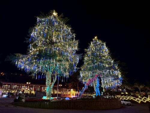 Taichung's Lishan to light Taiwan's highest Christmas trees Sunday