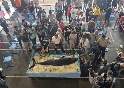 First Su'ao bluefin tuna of season sold for nearly NT$1.99 million