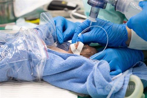 Taipei Zoo welcomes rare orangutan twins delivered by cesarean section