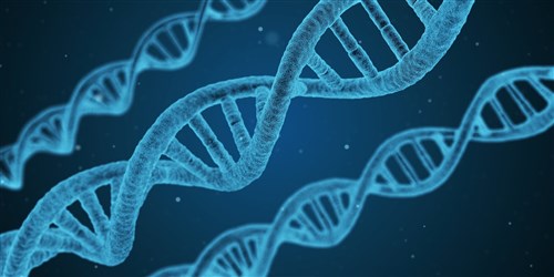 Taiwan study shows ongoing natural selection shaping disease susceptibility