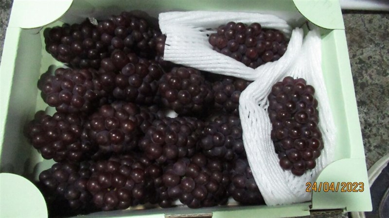 Fresh grapes imported from Japan. Photo courtesy of Taiwan Food and Drug Administration