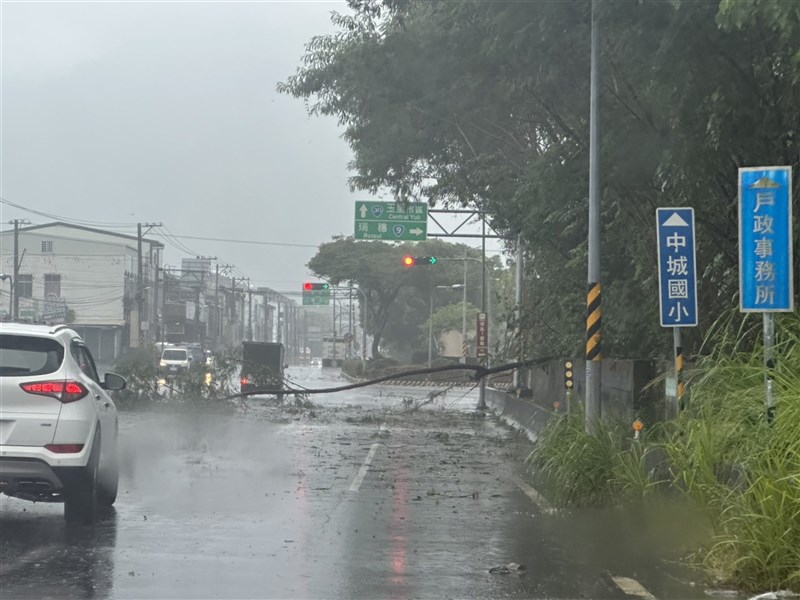 A road in Yuli Township, Hualien County is blocked by a fallen tree Saturday afternoon. Photo courtesy of Yuli Township Office Sept. 3, 2023