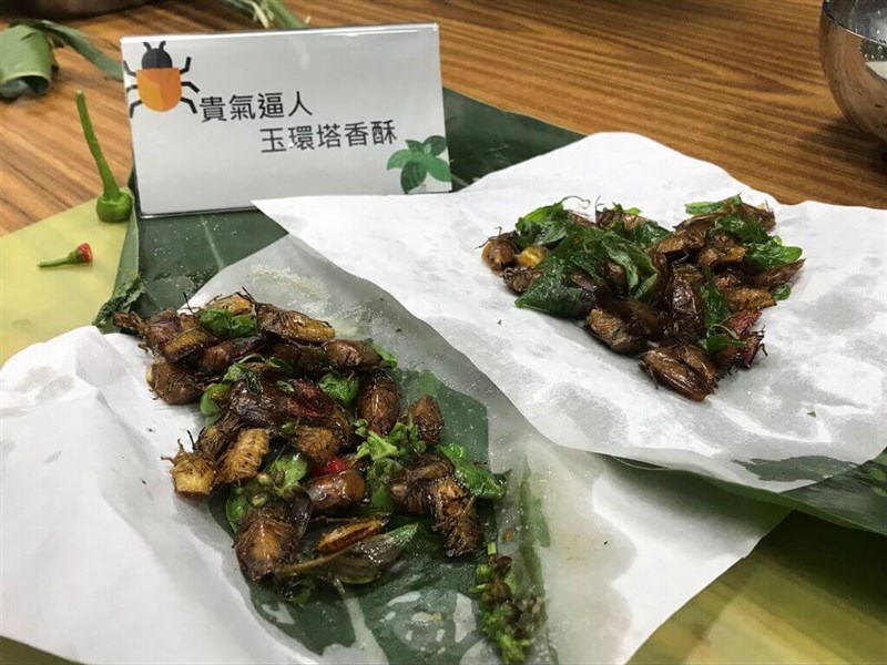 Fried lychee giant stink bug dishes. Photos courtesy of Forestry and Natural Conservation Agency Chiayi branch