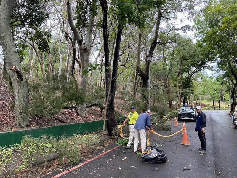 The site where a man was struck by a tree in the Chengching Lake Scenic Area in Kaohsiung is cordoned off following the deadly incident on Friday. Photo courtesy of Kaohsiung City Police Department's Renwu Precinct April 26, 2024