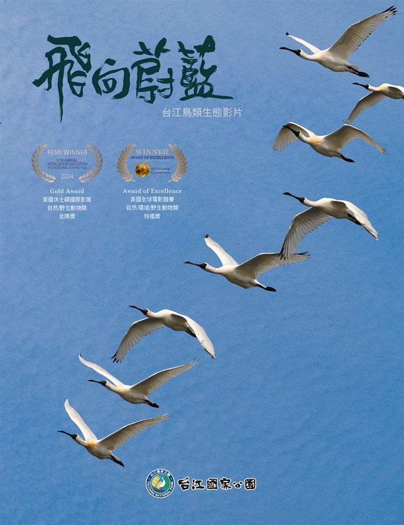 The movie poster of Taiwanese documentary "Flight - Exploring the Life of Birds" which recently won a Gold Award and an Award of Excellence at two American film festivals. Graphic courtesy of Taijiang National Park Headquarters