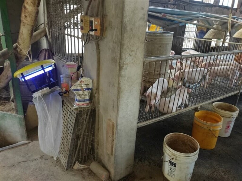 One of the seven pig farms near the deceased man, who died after contracting the mosquito-transmitted disease and developing serious complications. Photo courtesy of Kaohsiung City Department of Health May 15, 2024