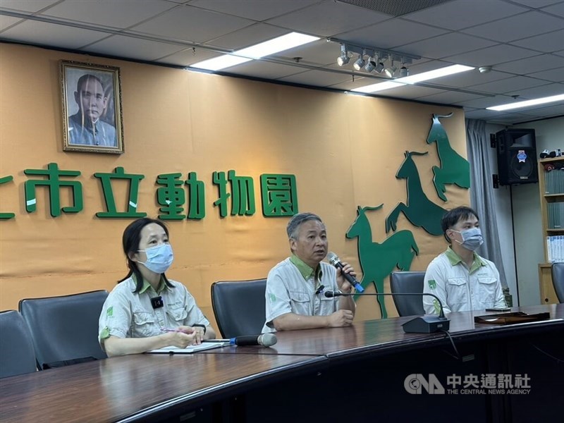 Taipei Zoo spokesperson Eric Tsao (center) and veterinary office head Lai Yen-hsueh (left) speak about the autopsy findings of the Malayan tapir Hideo at a Monday press conference in Taipei. CNA photo June 24, 2024