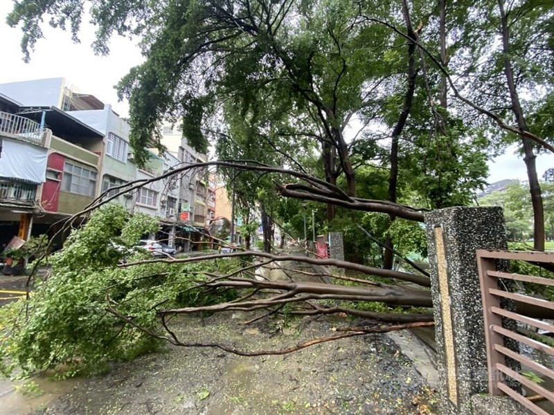 Falling trees damage the fence around Fu Dong Elementary School in Kaohsiung Wednesday. CNA photo July 24, 2024