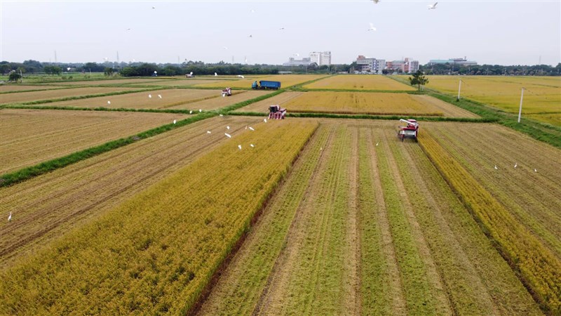 Mingdao University Department of Smart and Quality Agriculture's operations in Changhua County seen in this photo will become as part of an off-campus program introduced by Tunghai University in Taichung. Photo courtesy of Liu Cheng-wei