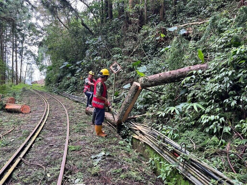 Photo courtesy of Alishan Forest Railway and Cultural Heritage Office