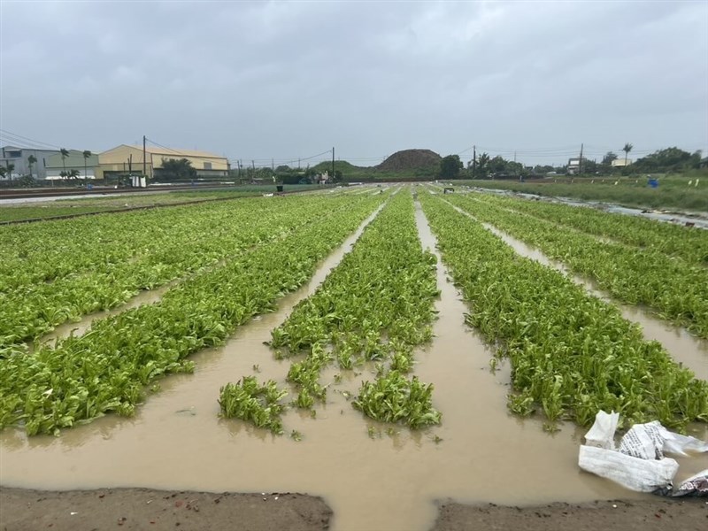 A fruit and vegetable farm is flooded in this photo released by the Kaohsiung City Government on Aug. 3, 2024 in an update of the agricultural loss caused by Typhoon Gaemi that made landfall in Taiwan in late July.