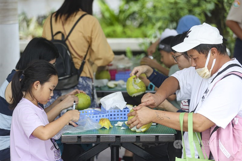 Families make artworks out of pomelos in a park in Taipei on Sunday in observation of the upcoming Mid-Autumn Festival. CNA photo Sept. 14, 2024