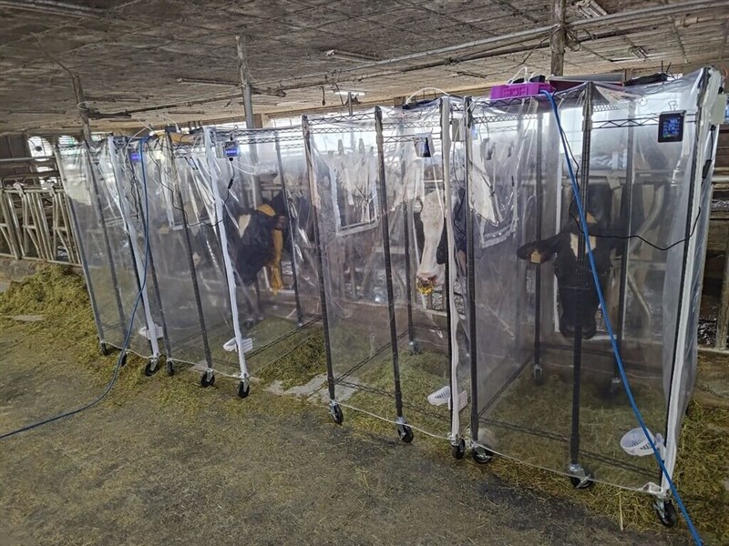 A cowshed in Taiwan. Photo courtesy of the Taiwan Livestock Research Institute