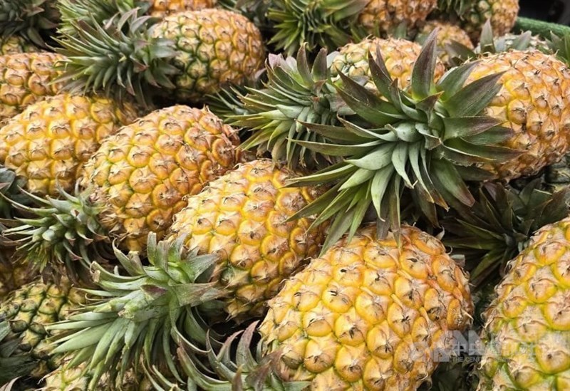 Fresh pineapples are displayed at a fruit stand in Kaohsiung's Lingya District in this undated photo. CNA file photo