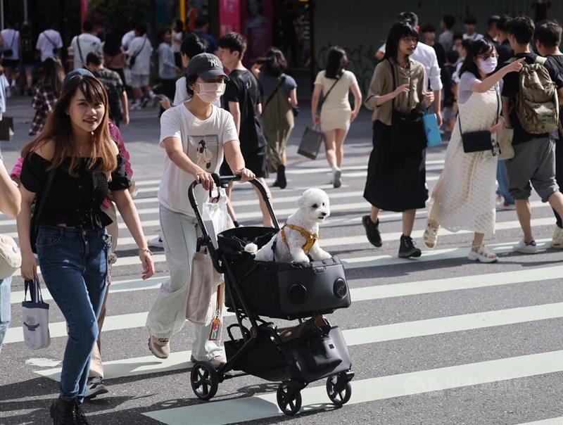 A pet owner takes her out in a stroller in Taiwan in this CNA file photo