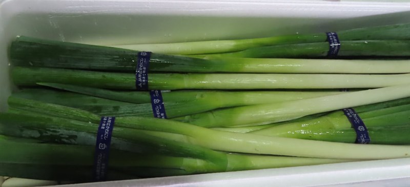 Japanese leeks which were intercepted at the border. Photo courtesy of the Taiwan Food and Drug Administration