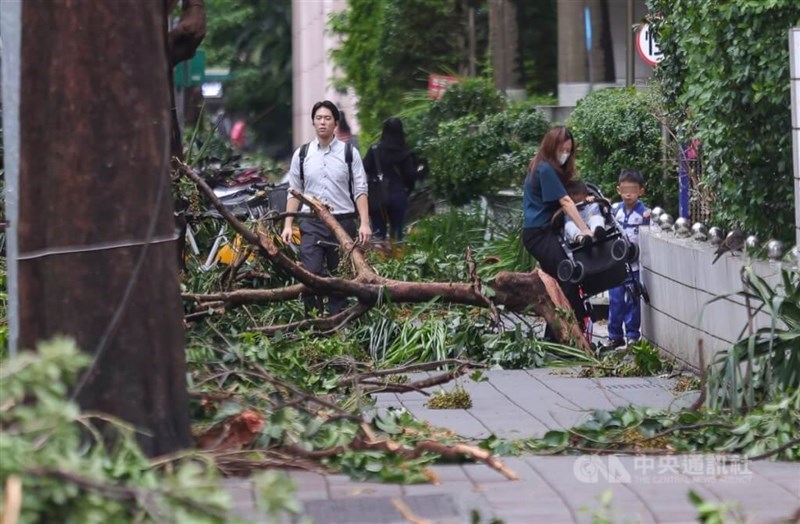 Pedestrians work their way around fallen trees and branches on a sidewalk in Taipei in the aftermath of Typhoon Typhoon Kong-rey on Friday. CNA photo Nov. 1, 2024