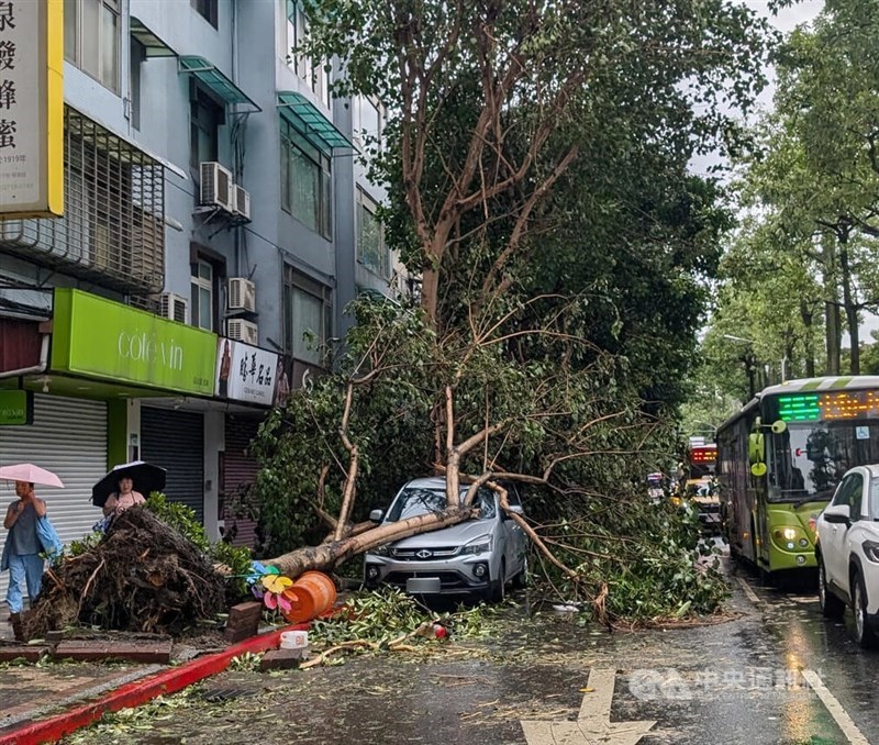 A parked vehicle in Taipei is seen damaged by a fallen tree due to Typhoon Kong-rey. CNA photo Nov. 1, 2024