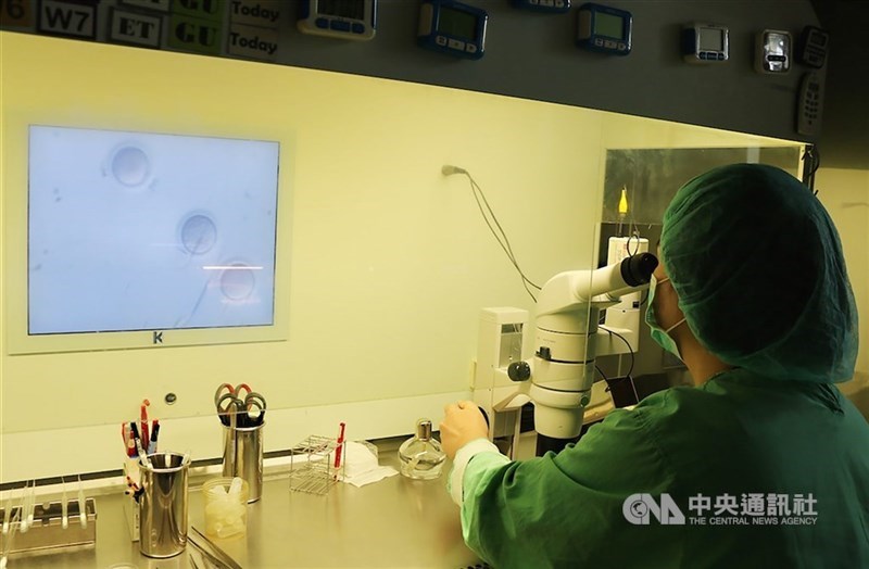 An embryologist conducts a medical analysis under a microscope. CNA file photo