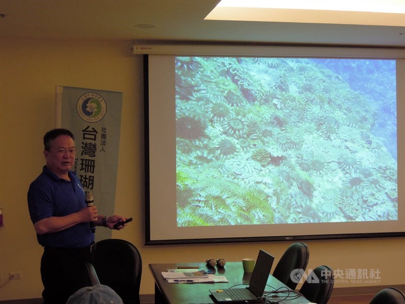 A member of the Taiwanese Coral Reef Society makes a presentation at a press conference in Taipei on Thursday to warn the government of the invasive crown-of-thorns starfish that are plaguing Taiwan's Pratas Islands National Park. CNA photo May 8, 2025