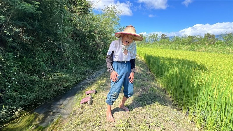 Farmer Lo Mao-hsiang. CNA photo June 28, 2025