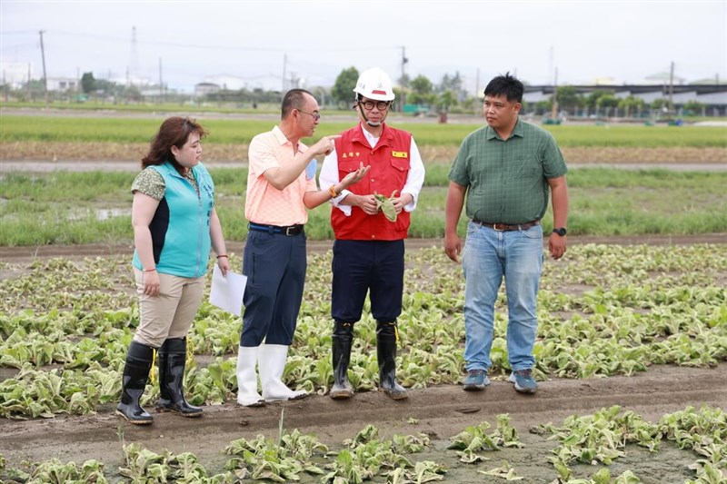 Kaohsiung Mayor Chen Chi-mai (Second right) with several officials checks the loss of the crops in Kaohsiung. CNA photo July 9, 2025