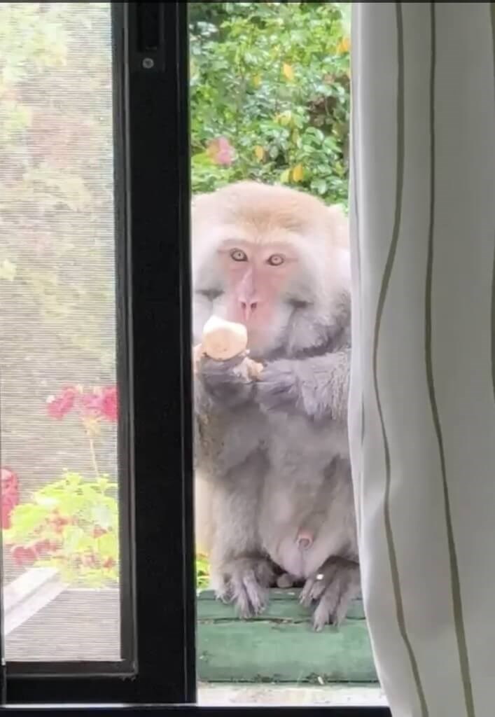 Photo courtesy of Wuling Farm. July 22, 2025