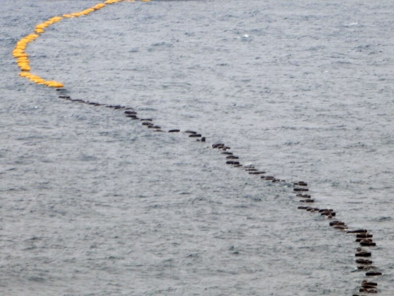 Conceptual image for submarine cables. CNA file photo